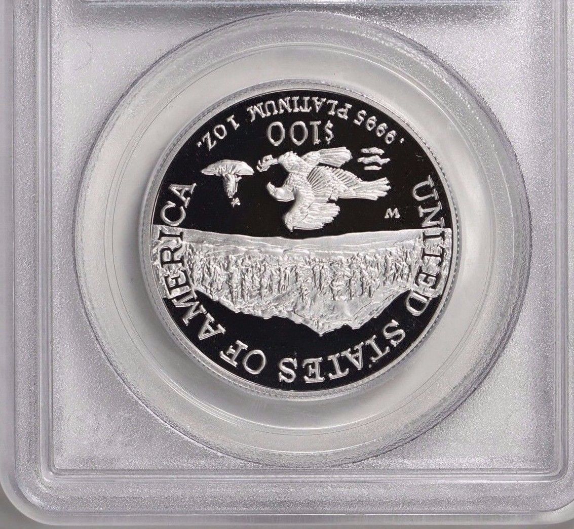 2002-W PCGS PR70 DCAM 1 oz Proof Platinum Eagle $100