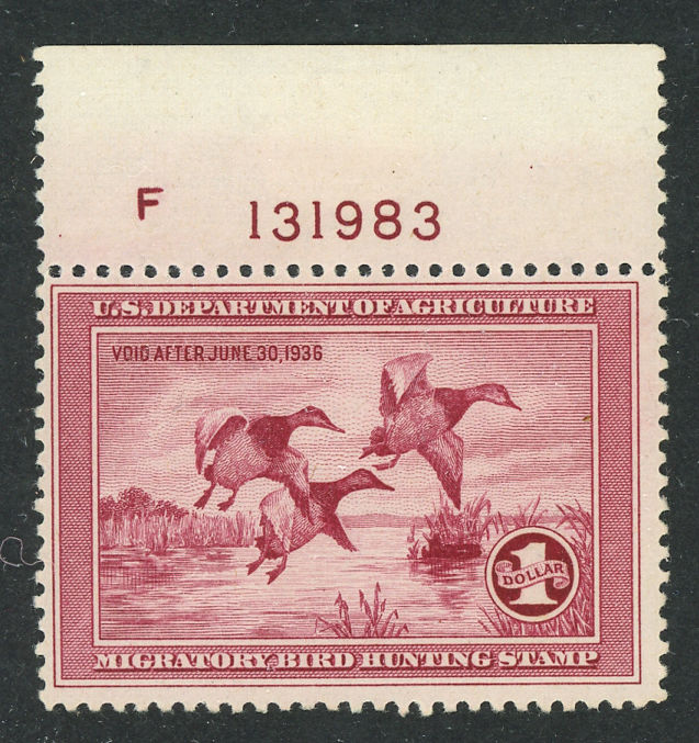 US Duck Stamp - RW 2 MNH F-VF   S803