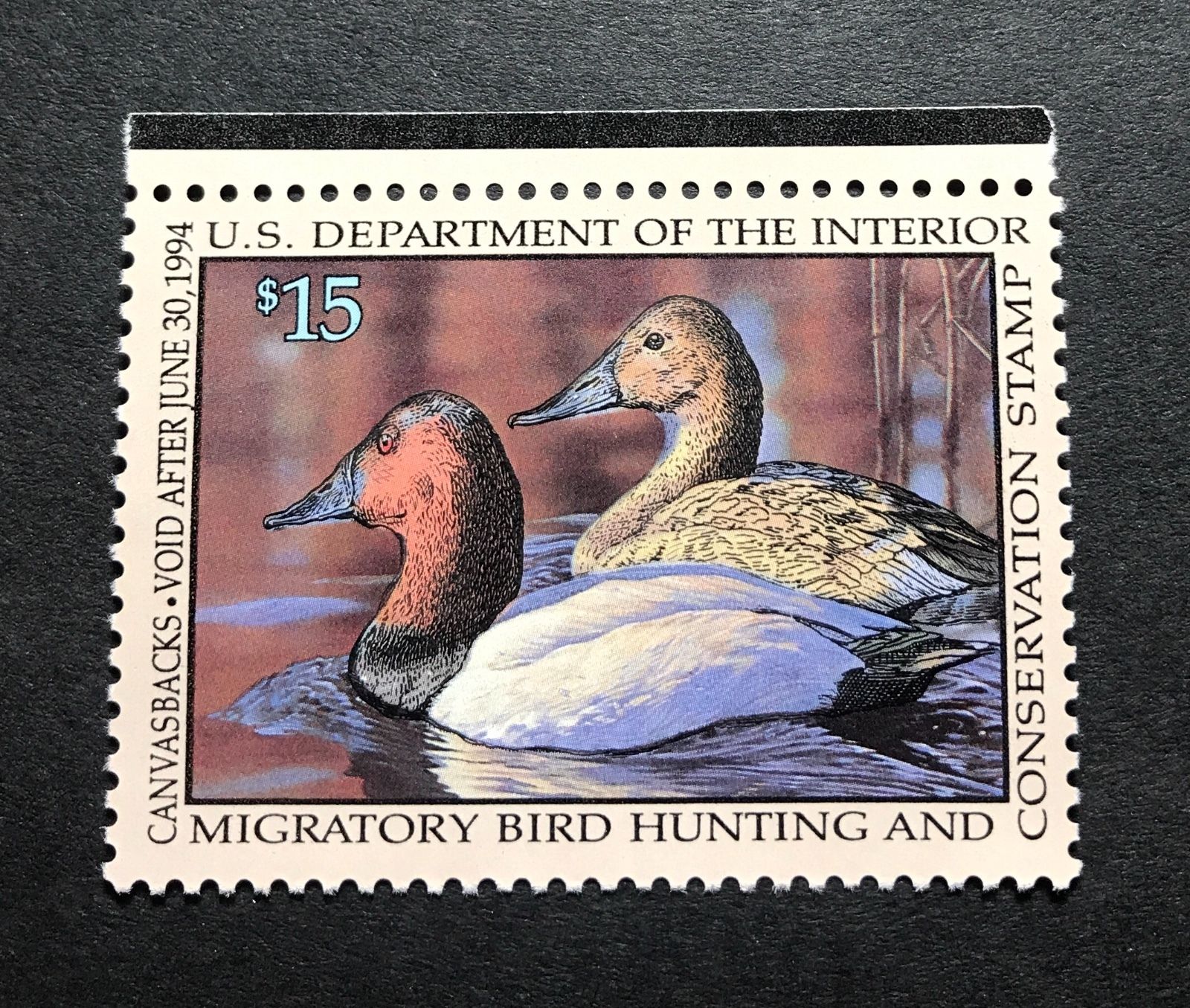 WTDstamps - #RW60 1993 - US Federal Duck Stamp - Mint OG NH