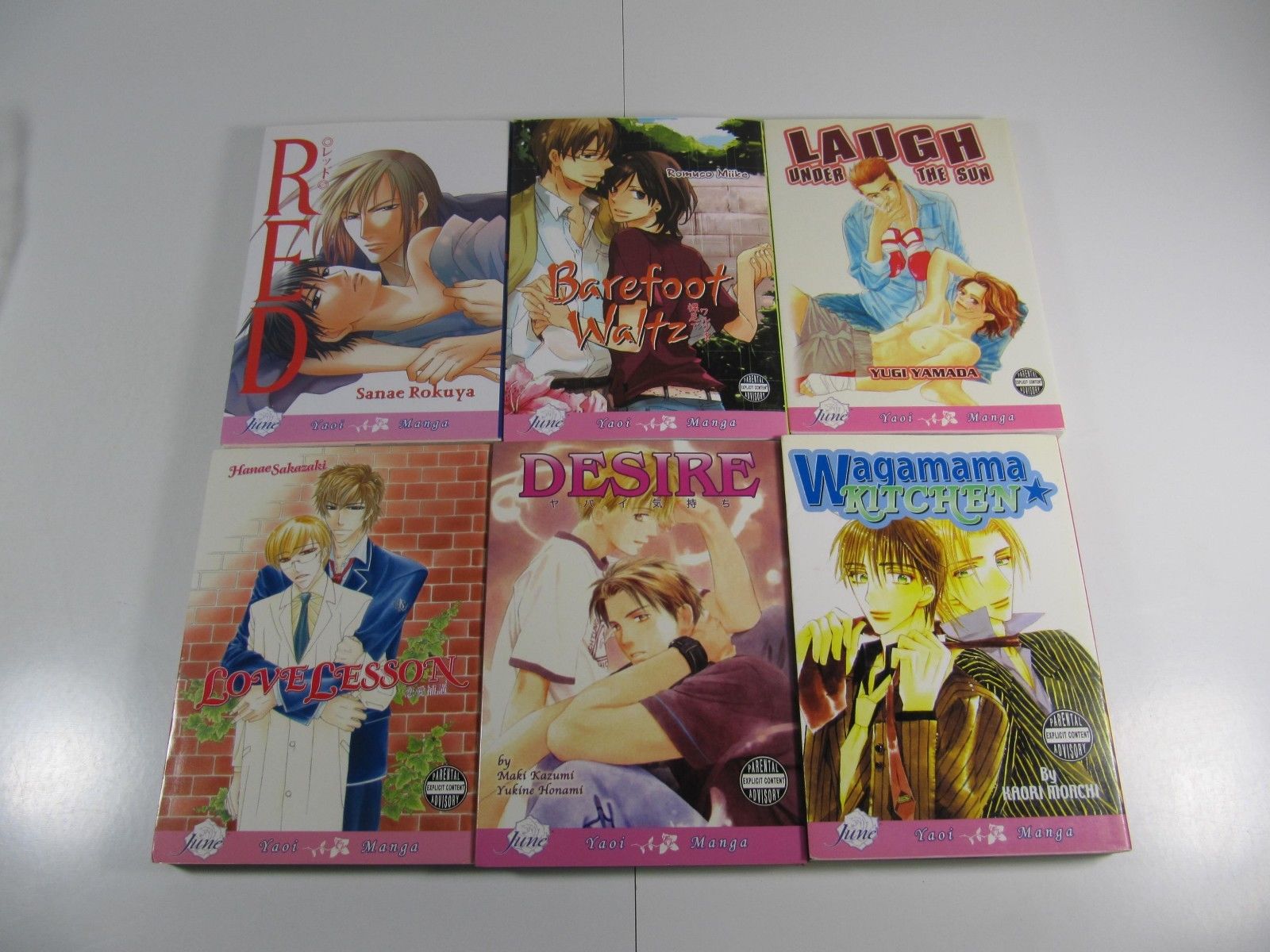 Manga Yaoi 6 issue book lot-Red,Love Lesson,Desire,Wagamama Kitchen-June-English