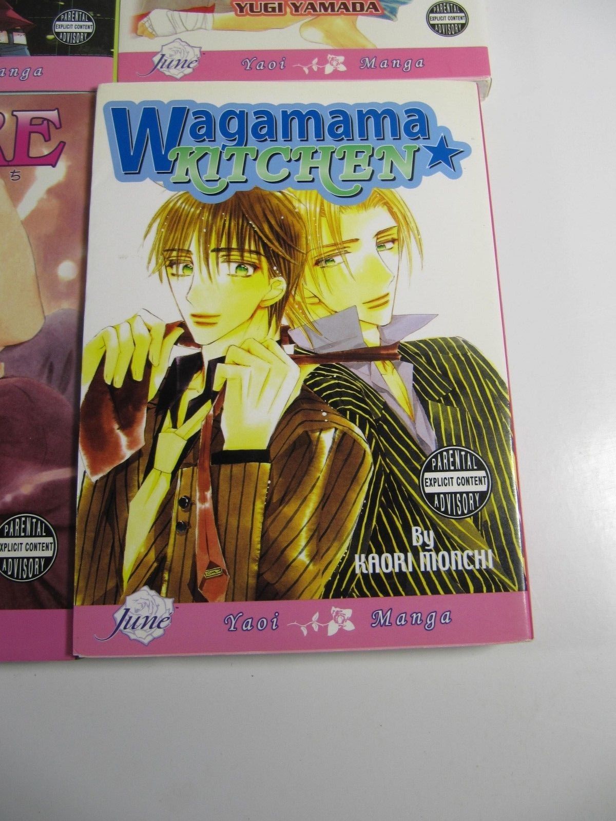 Manga Yaoi 6 issue book lot-Red,Love Lesson,Desire,Wagamama Kitchen-June-English