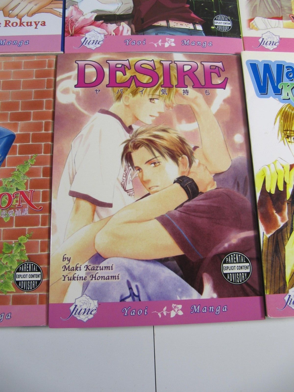 Manga Yaoi 6 issue book lot-Red,Love Lesson,Desire,Wagamama Kitchen-June-English