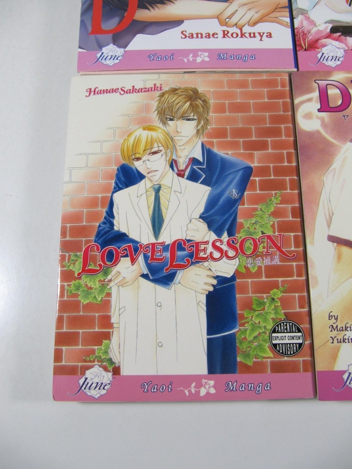 Manga Yaoi 6 issue book lot-Red,Love Lesson,Desire,Wagamama Kitchen-June-English