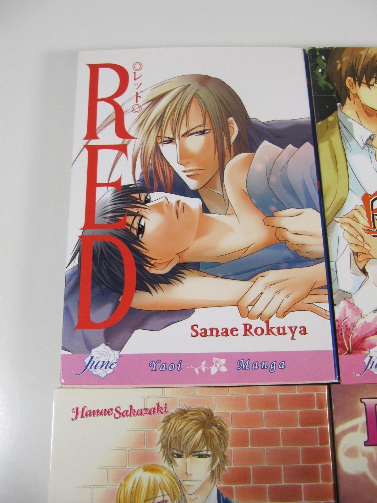 Manga Yaoi 6 issue book lot-Red,Love Lesson,Desire,Wagamama Kitchen-June-English