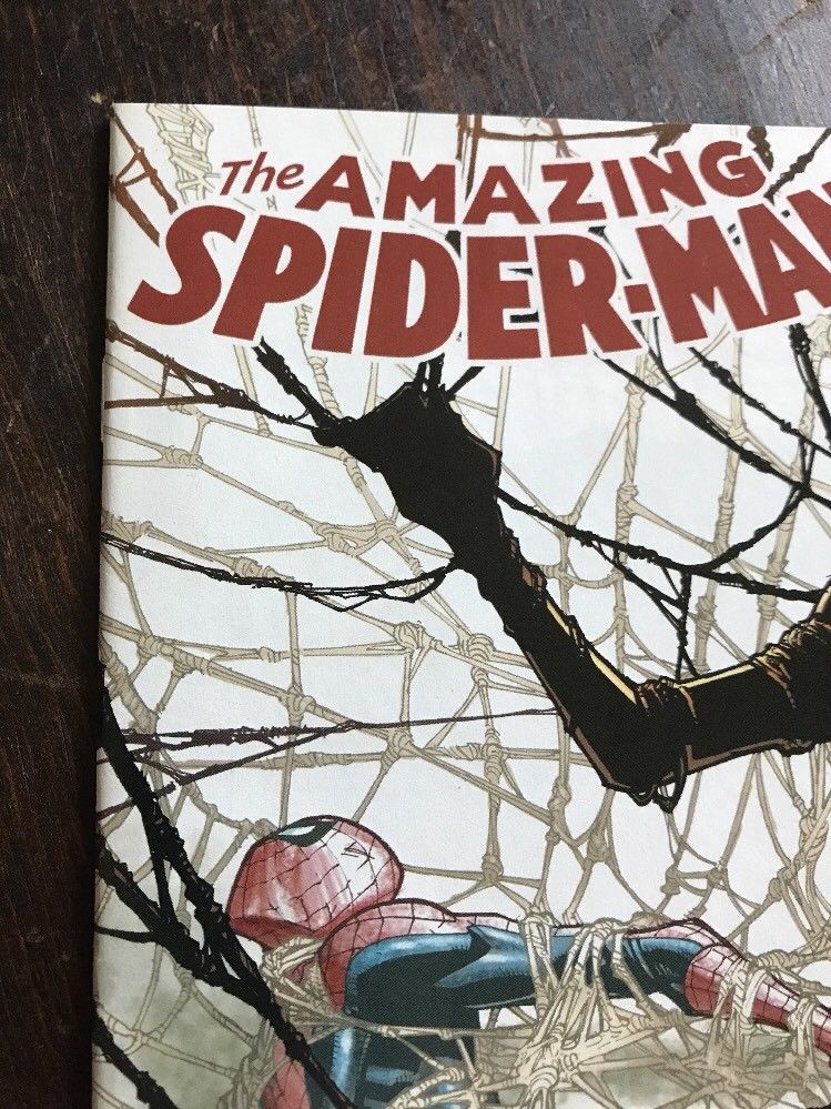 The Amazing Spider-Man #4 Asm Ramos Variant 1st First App Appearance Silk