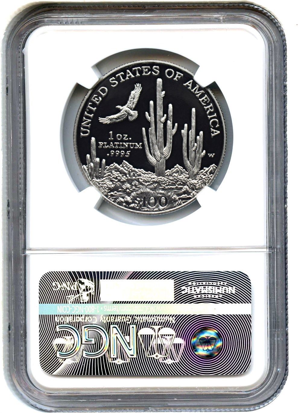 2001-W Platinum Eagle $100 NGC PR 70 UCAM - Statue Liberty 1 oz