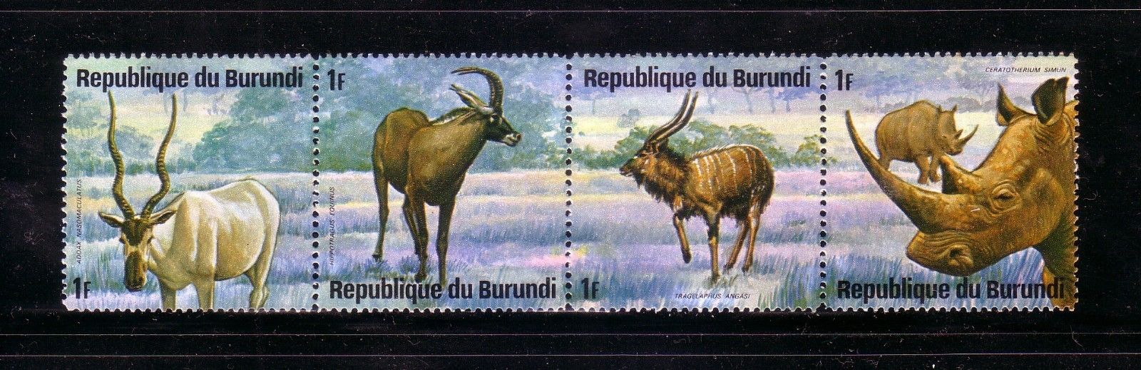 Burundi: Scott  479-484 Strips of 4, year 1975, Fauna, Mint.  BD03