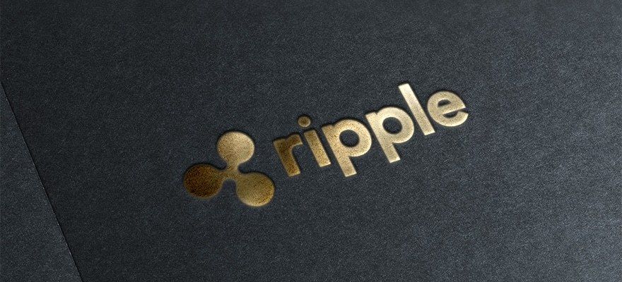 50 Ripple XRP Blockchain Cryptocurrency Paper Wallet MAILED via USPS Priority