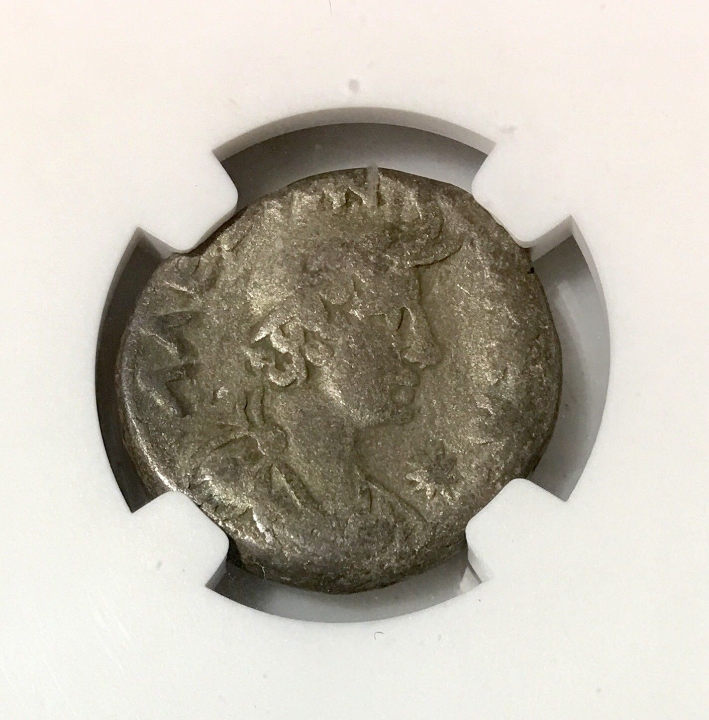 Egypt, Alexandria Galba, AD 68-69 NGC F  **Rev. Tye's** #8150200