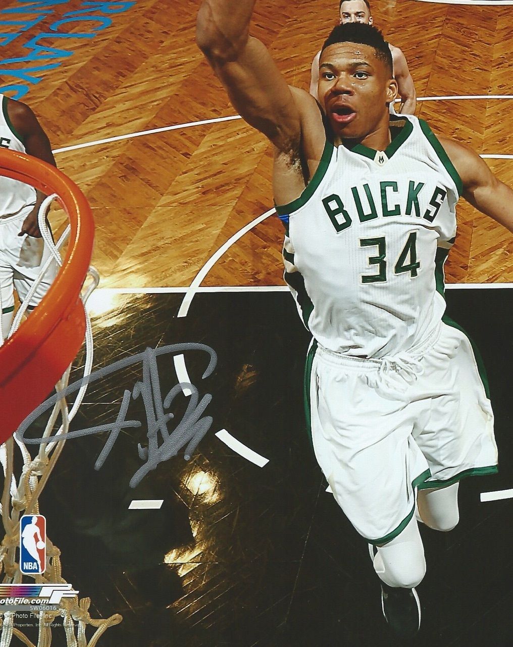 Giannis Antetokounmpo signed 8x10 autographed NBA auto photo (Antetokounmpo COA)