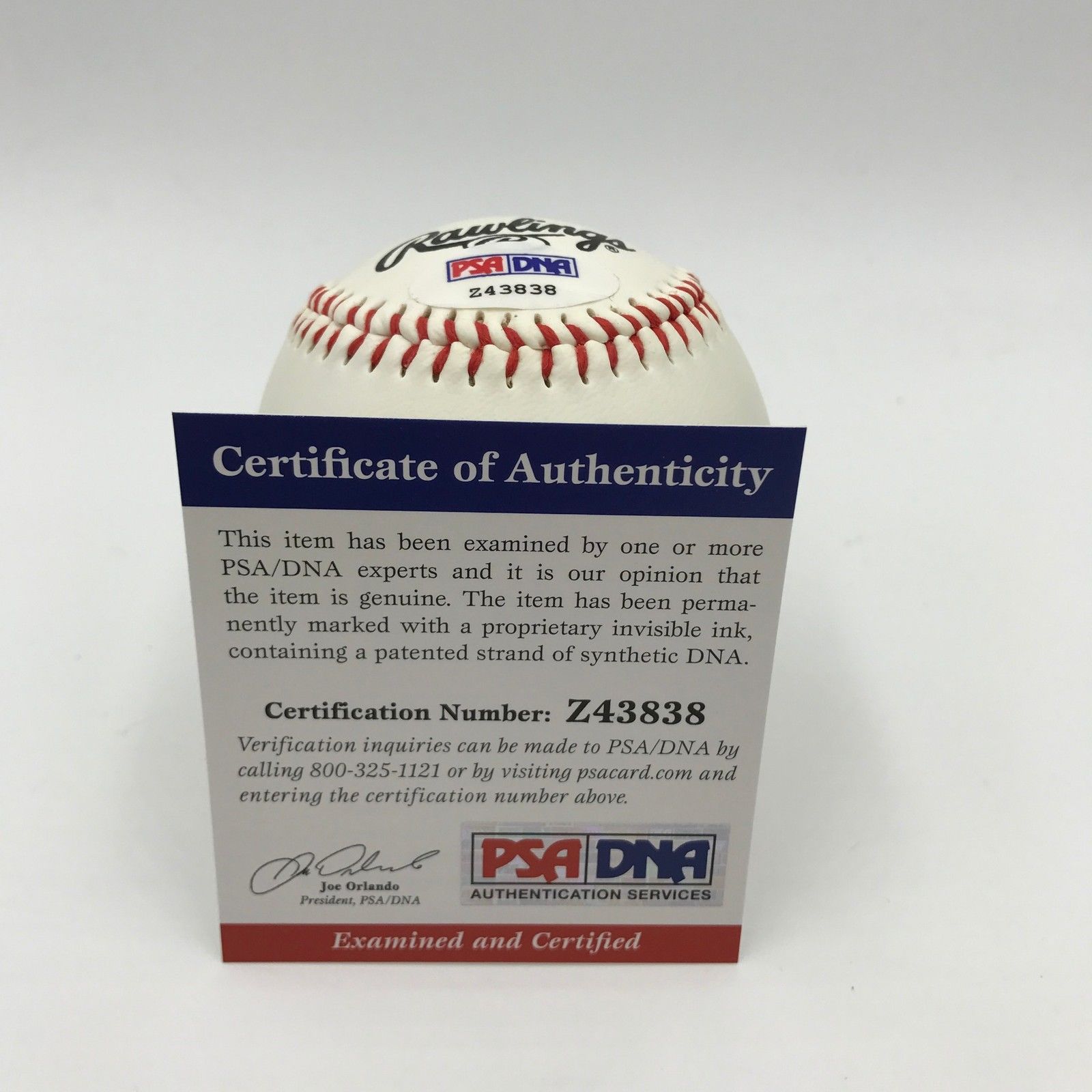 Bob Feller Signed Autographed Rawlings Official League Baseball PSA DNA COA