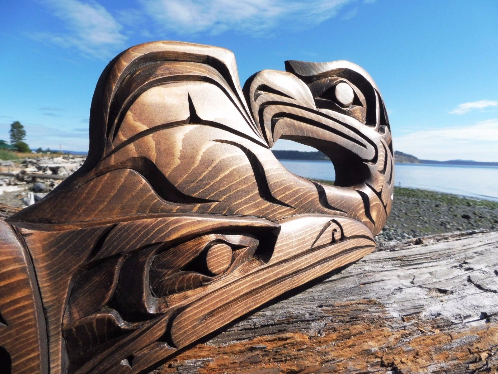 Northwest Coast First Nations native Art carving Transforming Whale, Indigenous