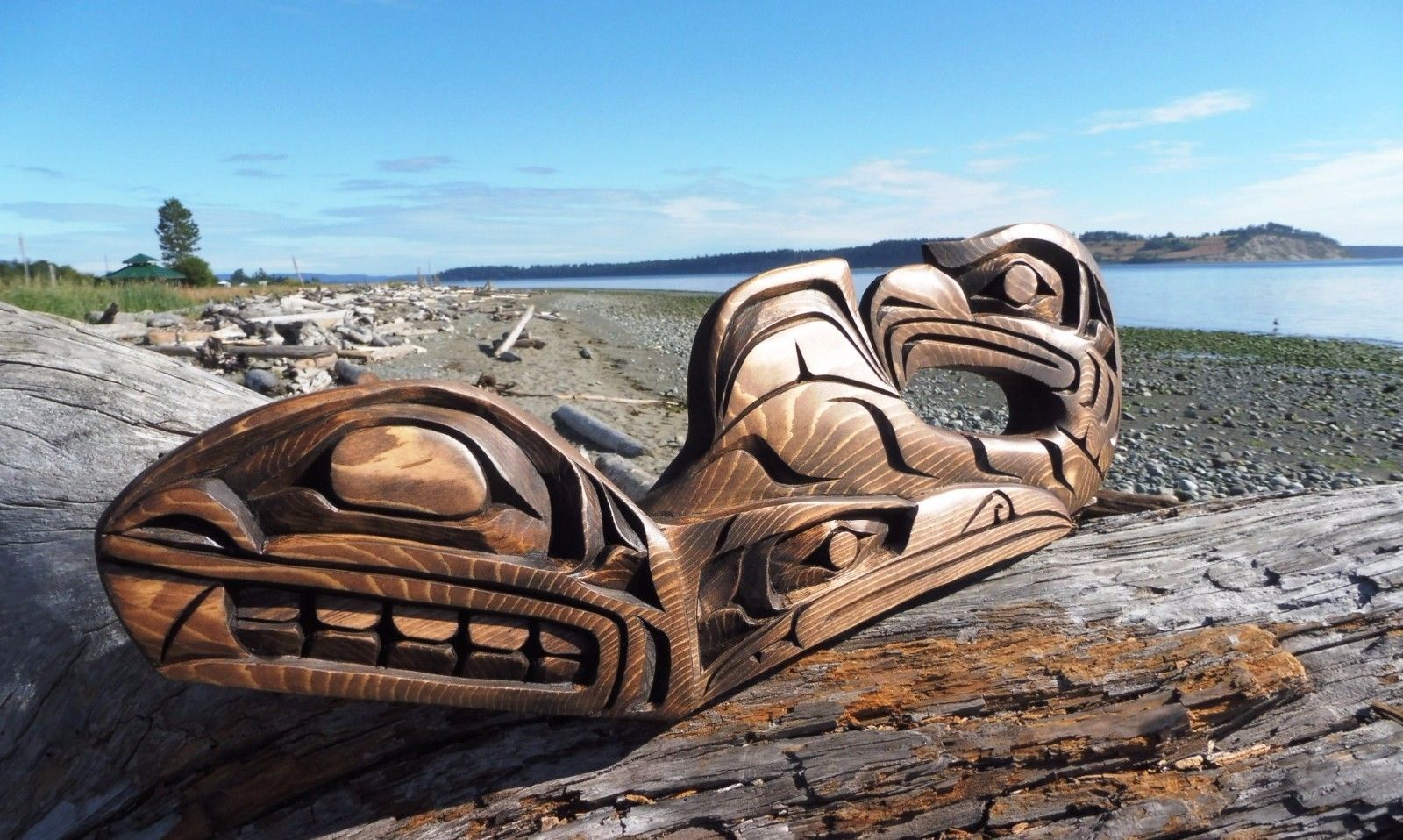 Northwest Coast First Nations native Art carving Transforming Whale, Indigenous