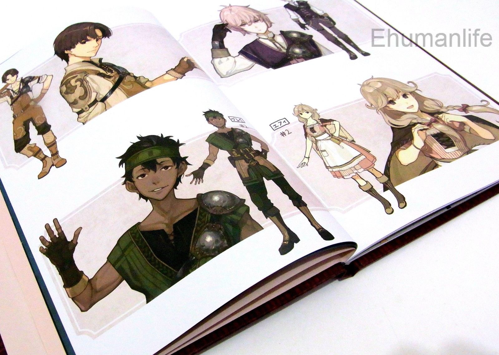 N3DS Fire Emblem Echoes Shadows of  Valentia Limited Gallery Art Book (No game)