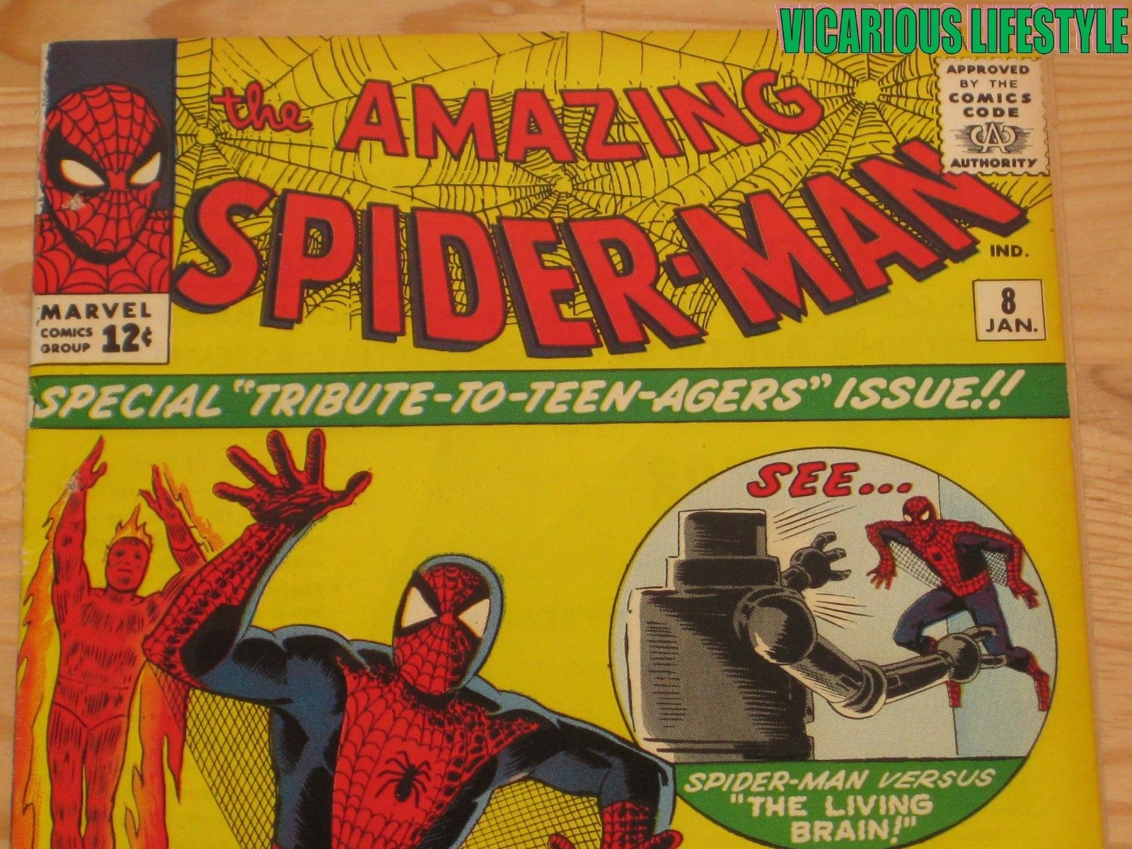 The Amazing Spider-Man #8 (1963, 1st Series) First Print Marvel Stan Lee Ditko