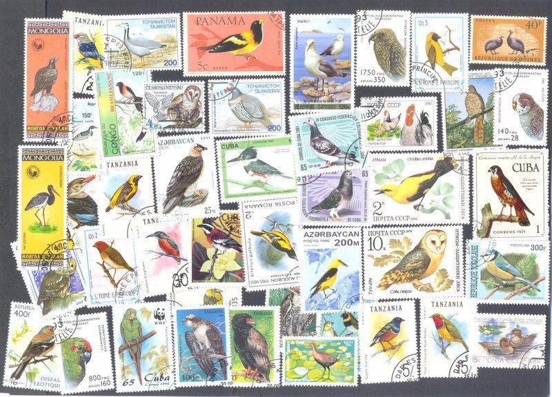 Birds 1000 all different stamps collection-mainly large -medium all world