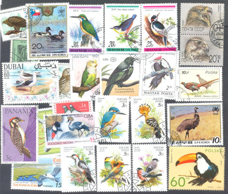 Birds 1000 all different stamps collection-mainly large -medium all world