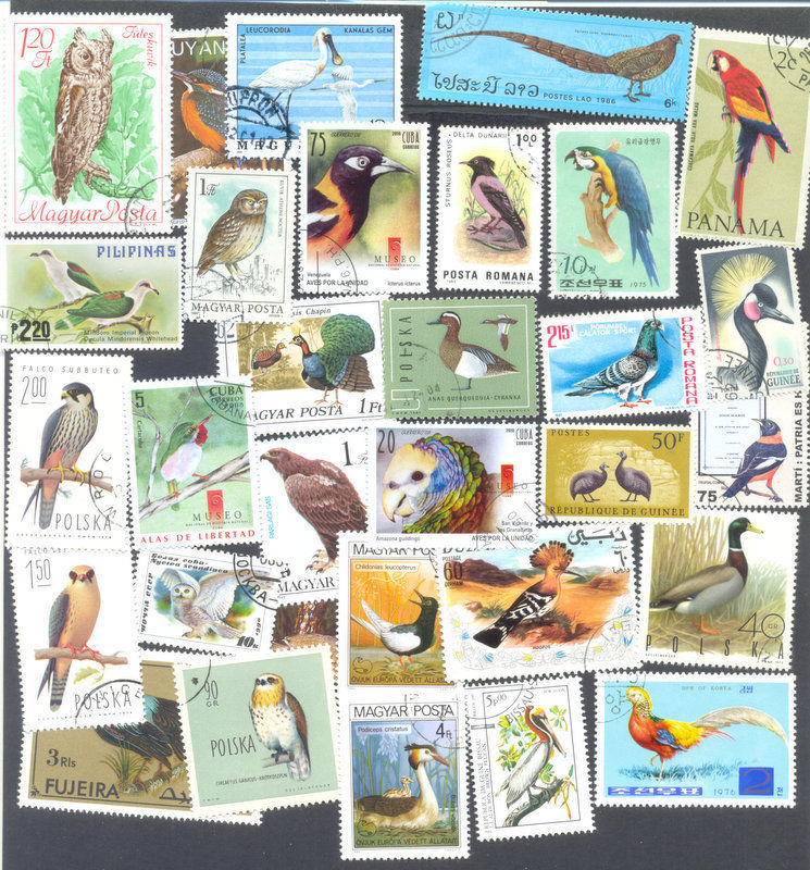 Birds 1000 all different stamps collection-mainly large -medium all world