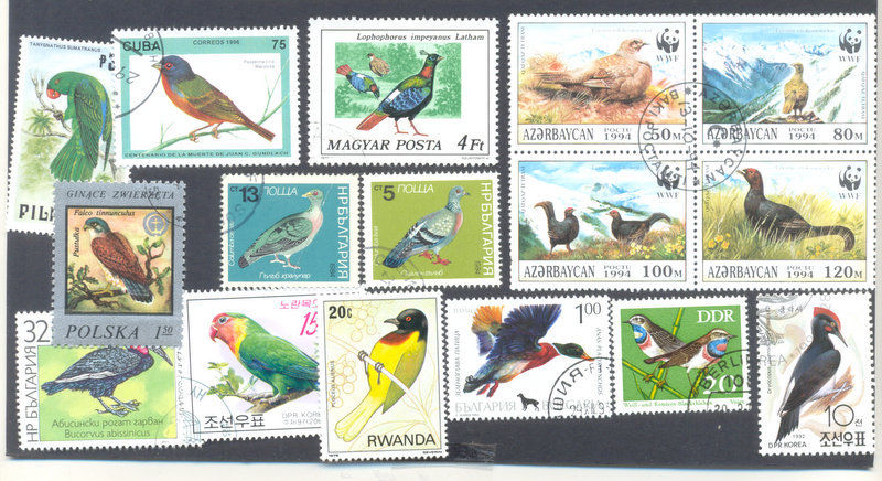 Birds 1000 all different stamps collection-mainly large -medium all world