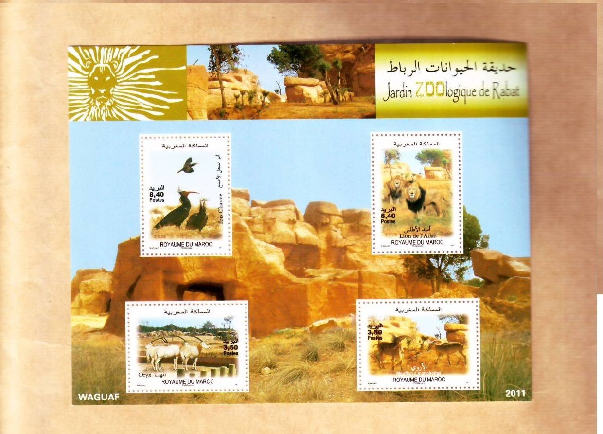 MOROCCO 7 MNH SETS AND 1 SHEET, ANIMALS, FOOTBALL, CHILDREN DRAWINGS 2010-12