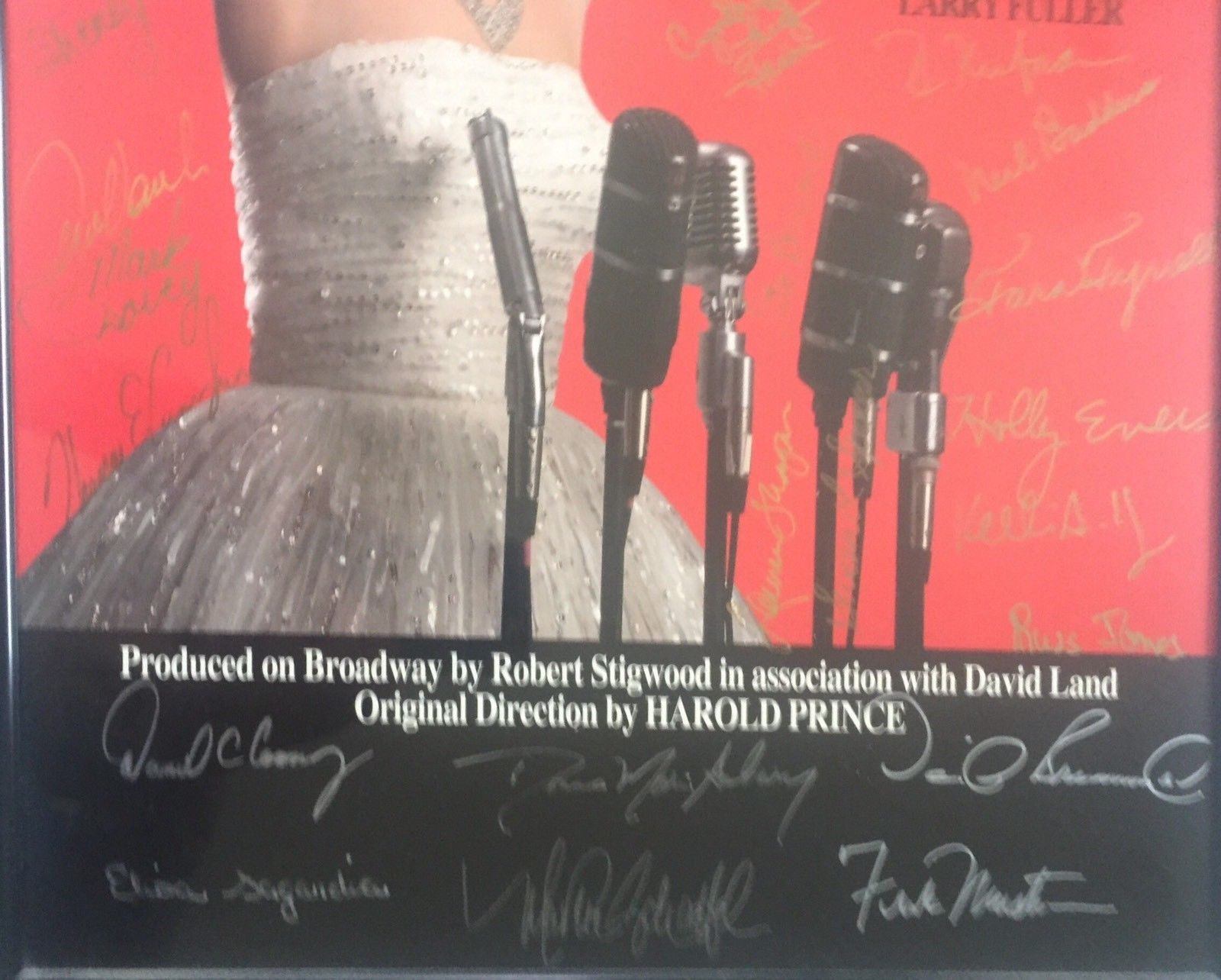 Original 22"x 14" 1993 EVITA  Broadway Autographed By Cast Poster