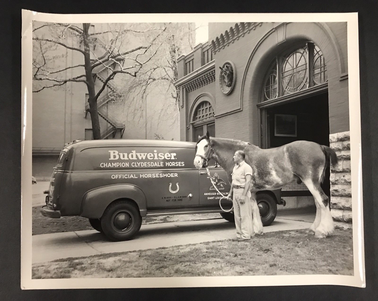 Vintage 1950s Anheuser Busch Clydesdale Horseshoer 8"x10" Brewery Photograph