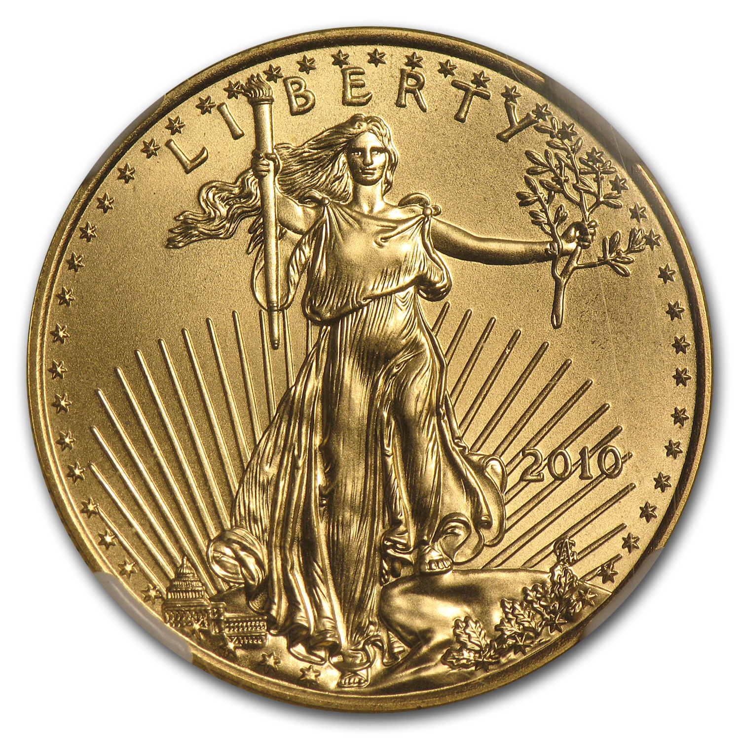 1/2 oz Gold American Eagle MS-70 NGC (Random Year) - SKU #83494