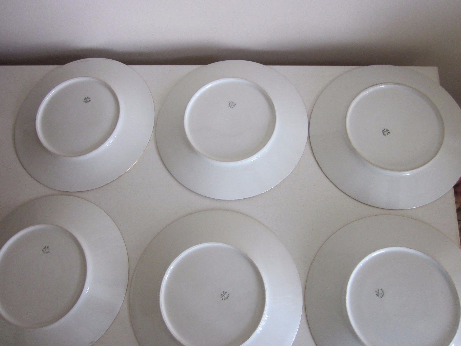 Limoges Luncheon Plates Set of 6 France 9"