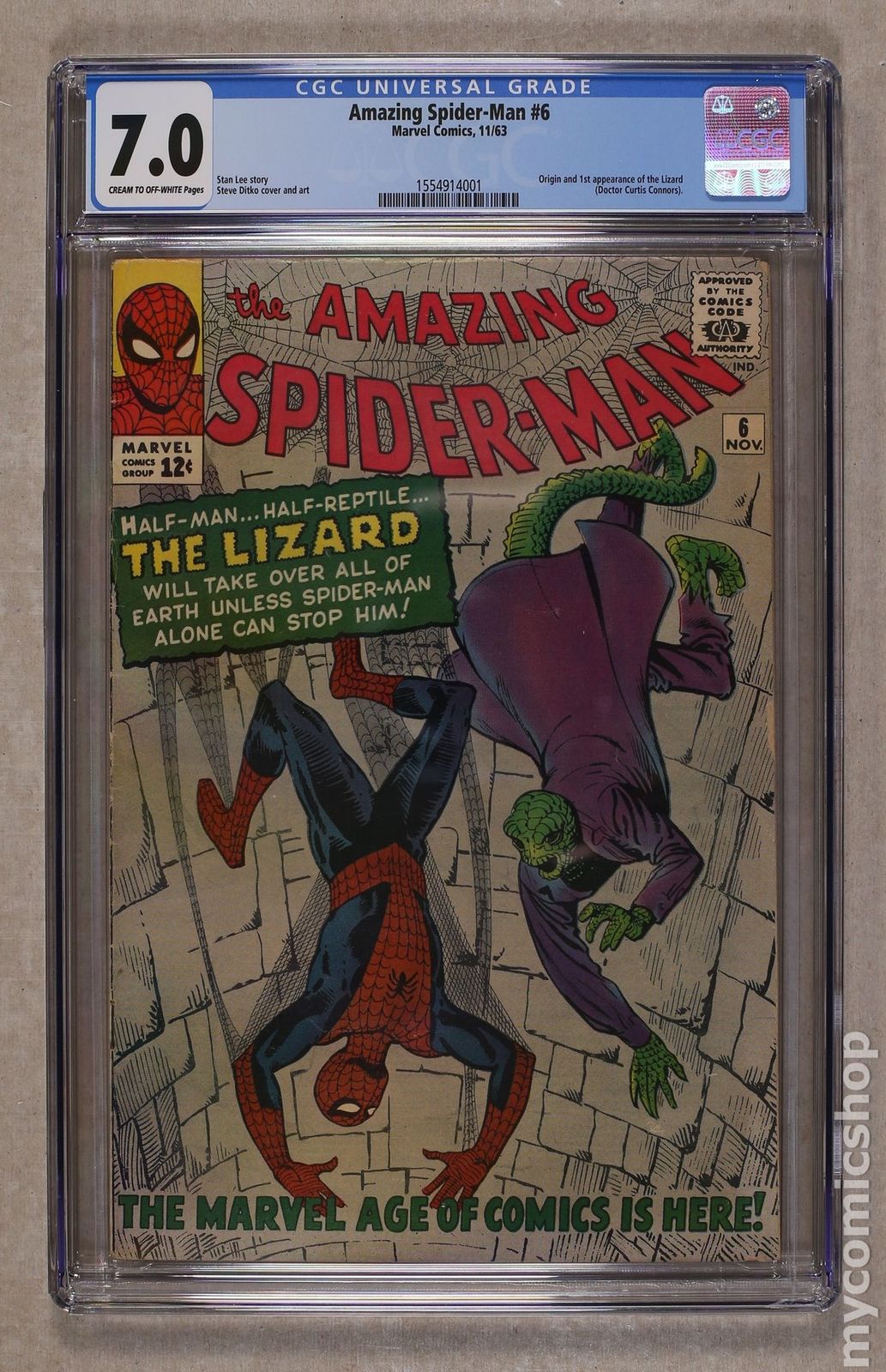 Amazing Spider-Man (1963 1st Series) #6 CGC 7.0 1554914001