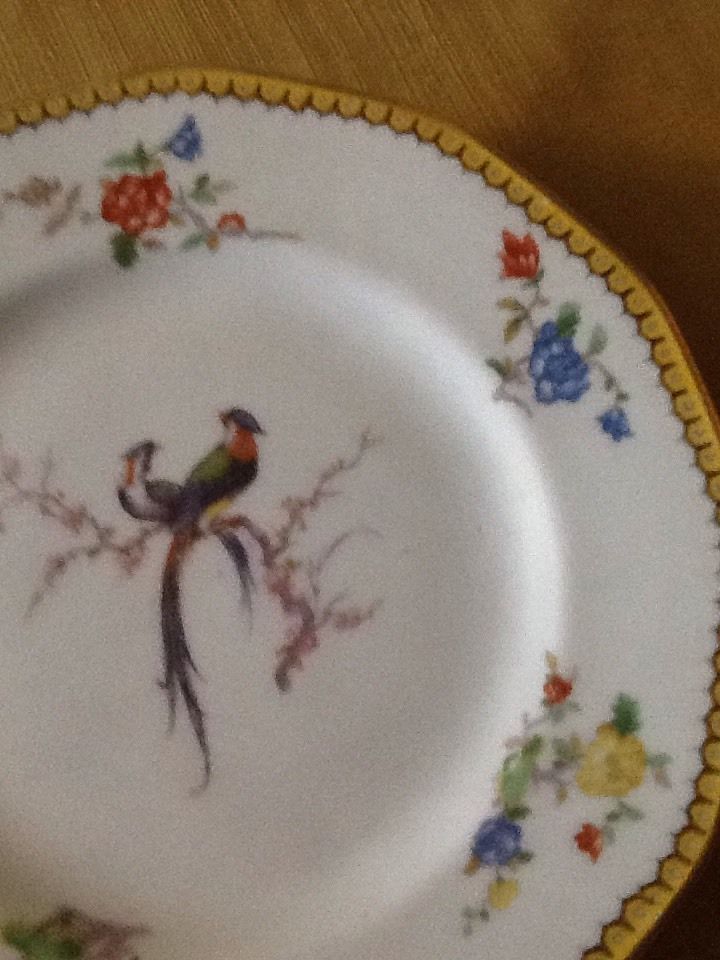 Limoges Theodore Haviland EDEN  Set Of 3 Luncheon Plates 8 1/2" Birds & Flowers