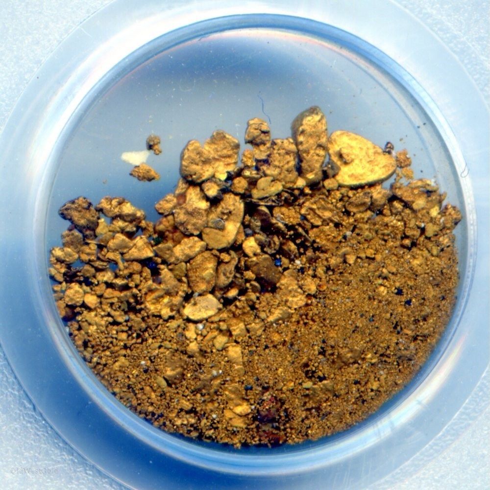 Sacramento Assayer Hoard Gold Nuggets Certified PCGS / California Gold Rush