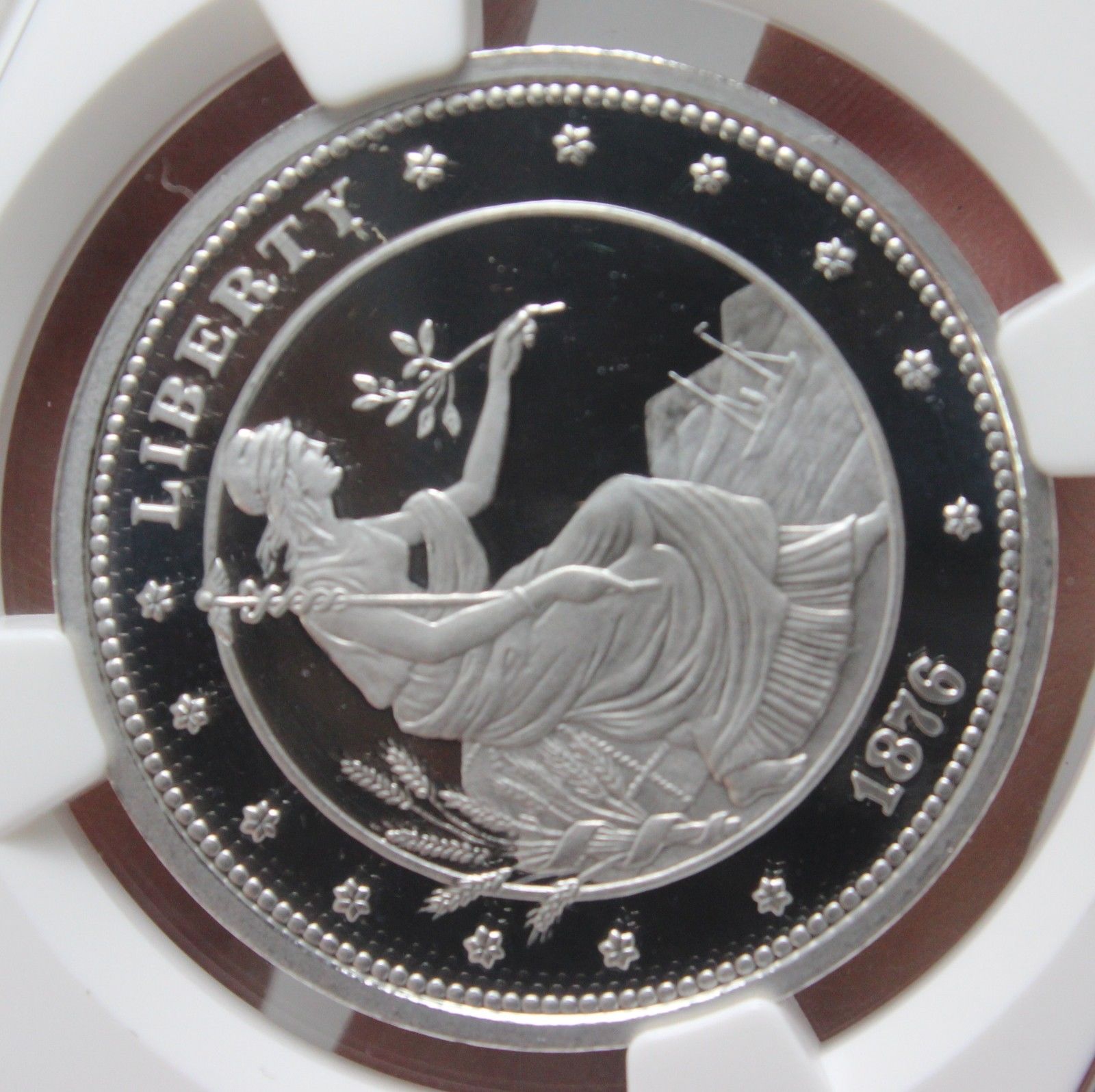 2013 1 oz Proof Platinum George T. Morgan $100 Union Priv Issue NGC UC Gem Proof